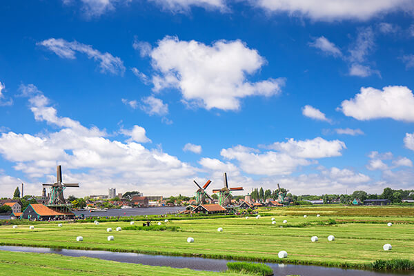Picture of Holland by Tanathip Rattanatum